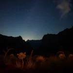 Quintas en Francisco I. Madero